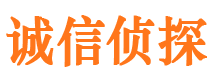 兴文市私家侦探